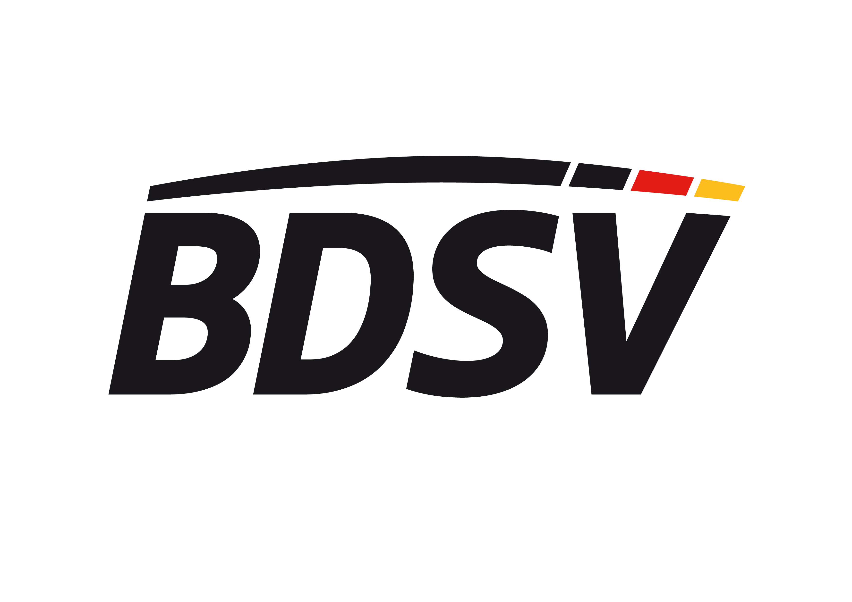 Logo BDSV